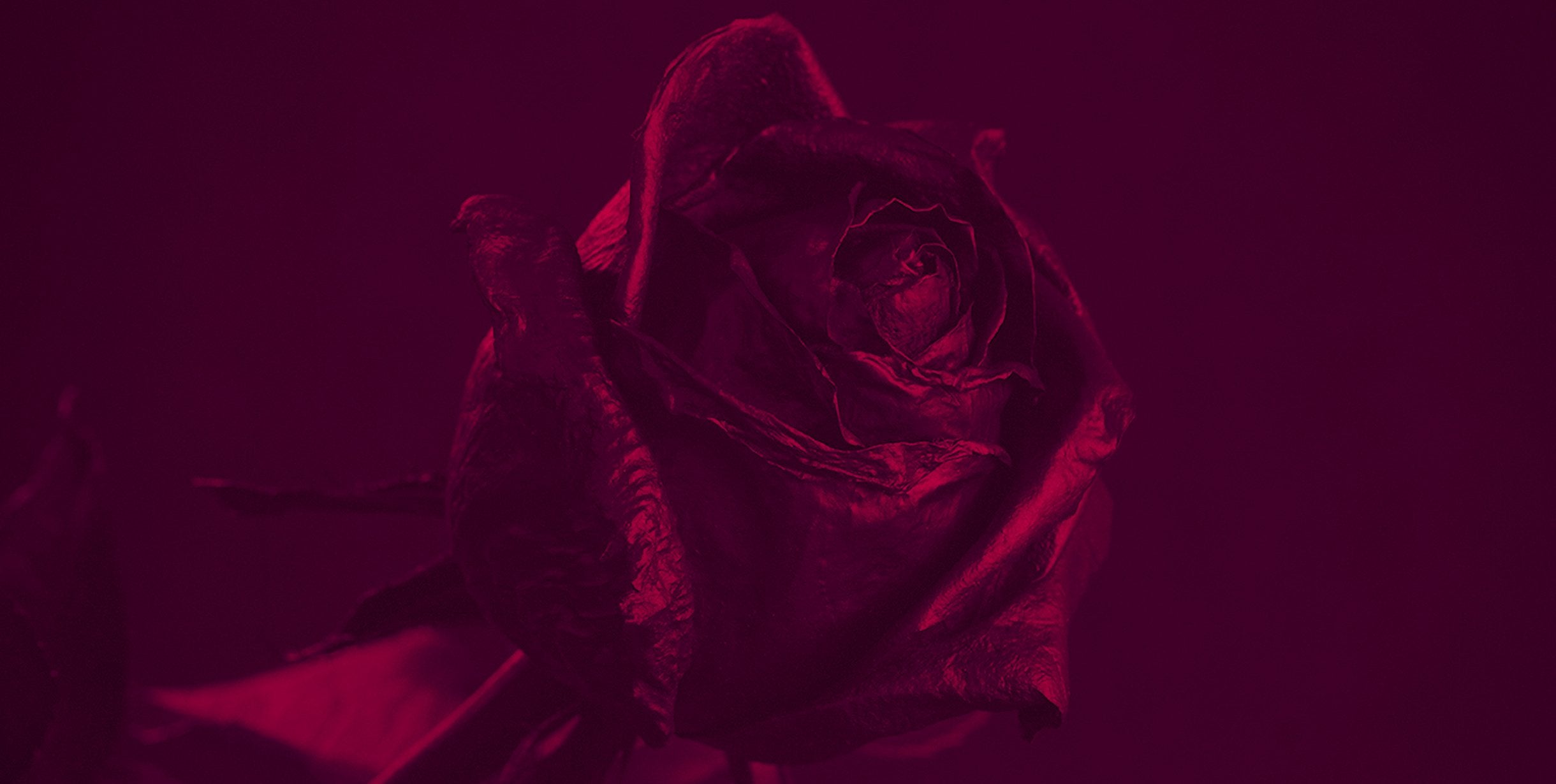 Non-Binary Scents